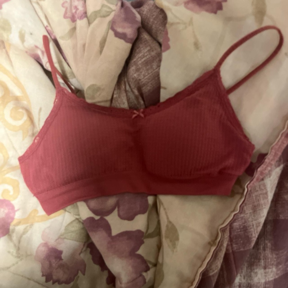 Pink Bra
